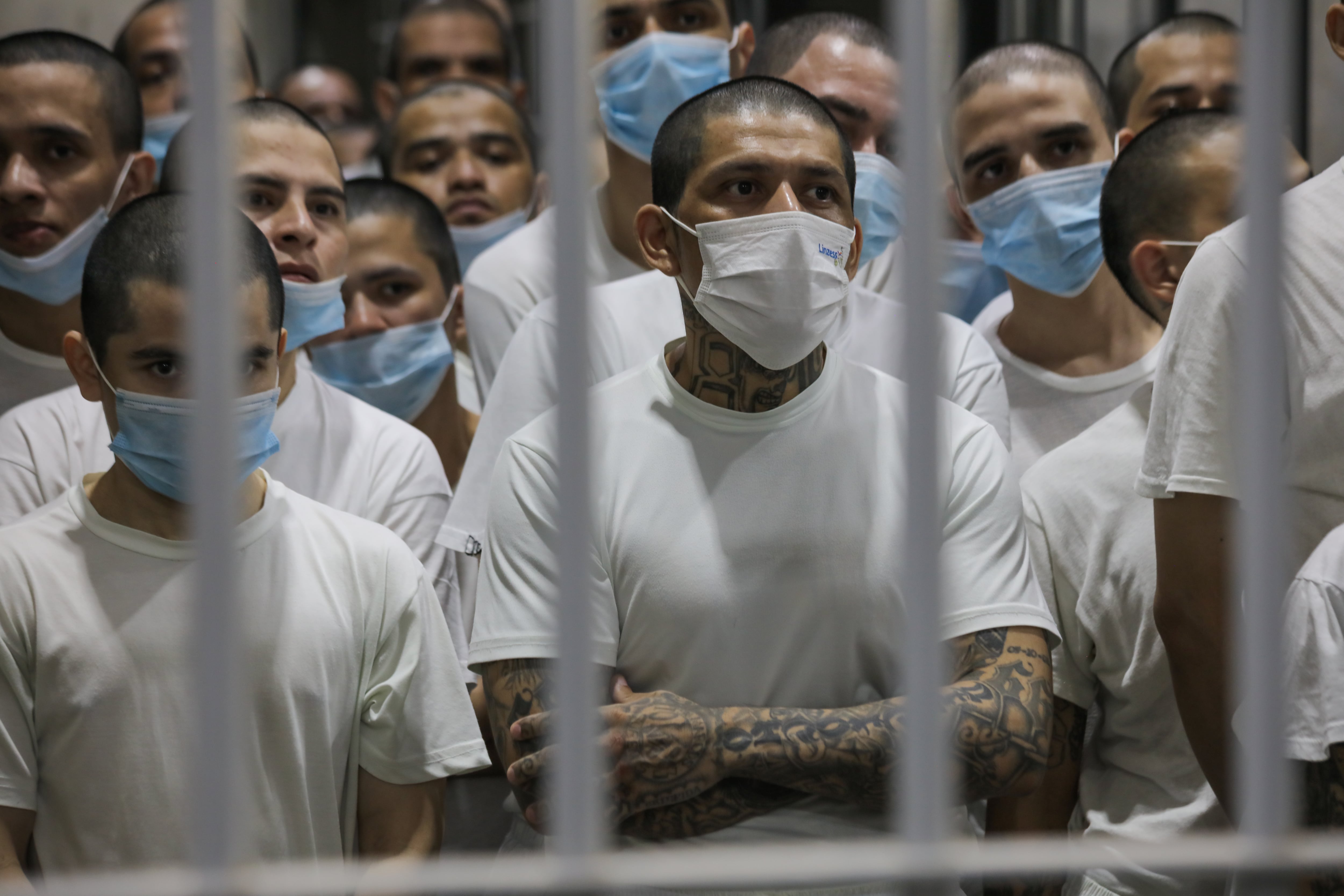 Bukele evalúa liberar anticipadamente a hasta la mitad de los presos por colaborar con pandillas en El Salvador
