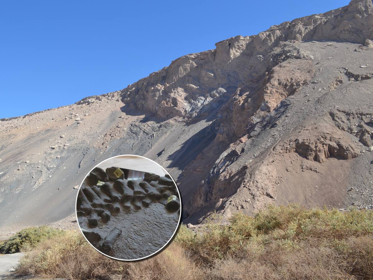 Hallazgo histórico: investigadores de la U. de Chile descubren el primer plesiosaurio del Jurásico en Chile