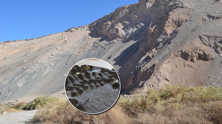 Hallazgo histórico: investigadores de la U. de Chile descubren el primer plesiosaurio del Jurásico en Chile