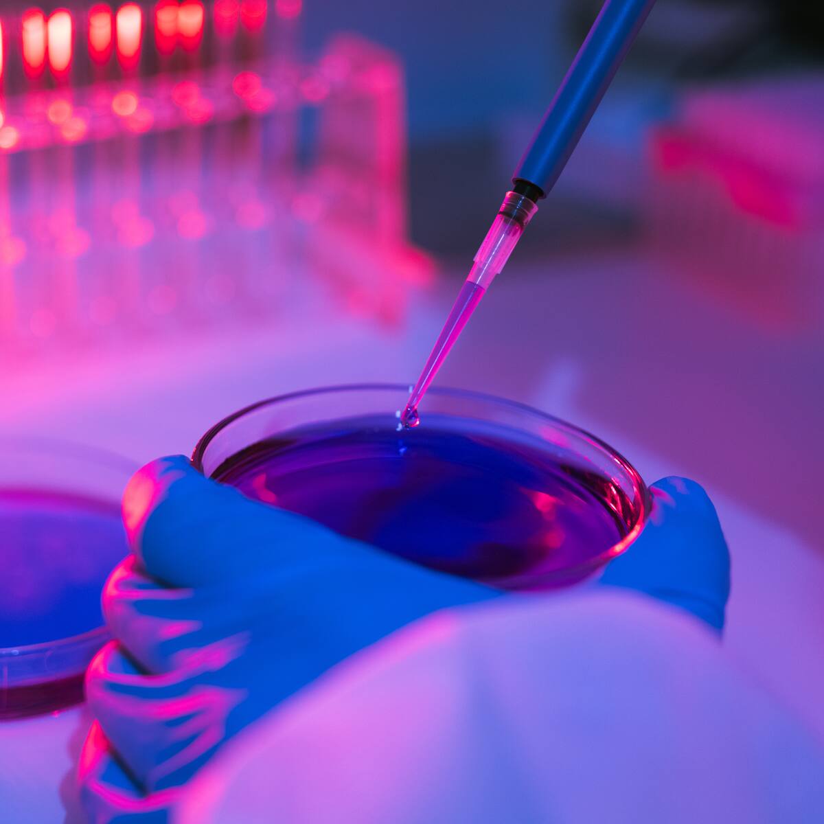 FDA autoriza los primeros ensayos para revertir los efectos del envejecimiento en humanos: esto se sabe