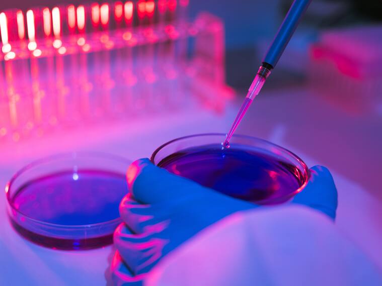 FDA autoriza los primeros ensayos para revertir los efectos del envejecimiento en humanos