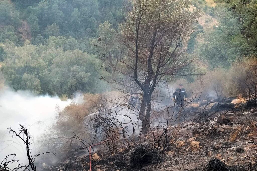 Los equipos de emergencia enfrentan un incendio forestal en Argelia
