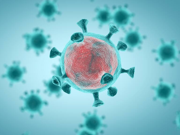 Coronavirus (referencial)