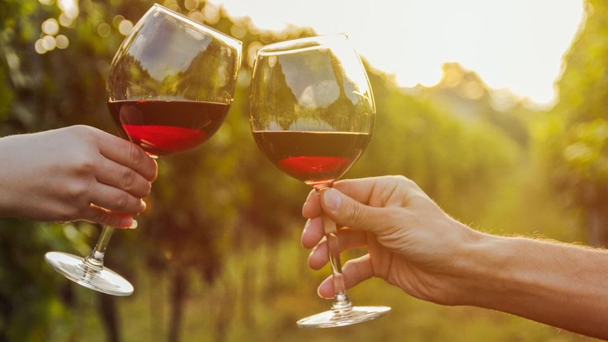 Conocido vino chileno es catalogado como “el mejor del 2024″, según Wine Spectator
