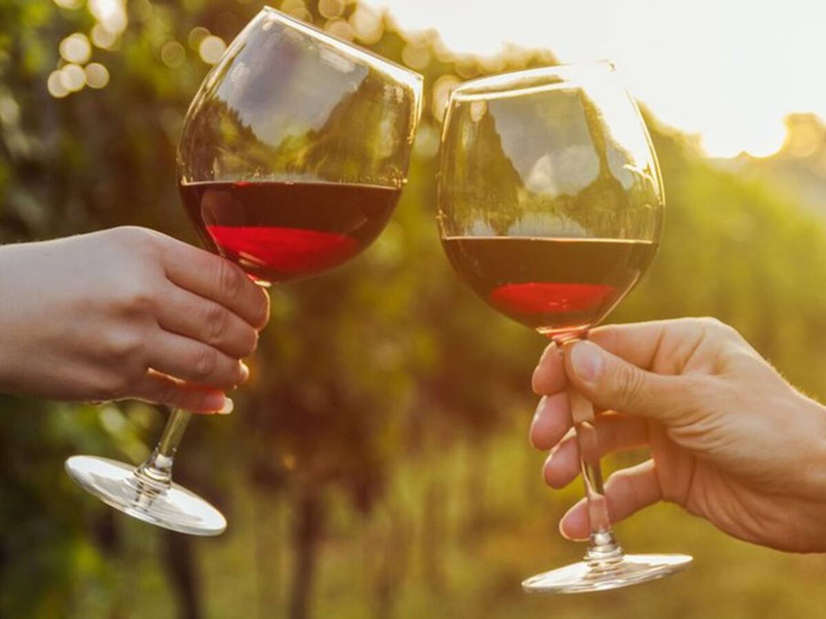 Este sábado se celebra el Día Nacional del Vino chileno