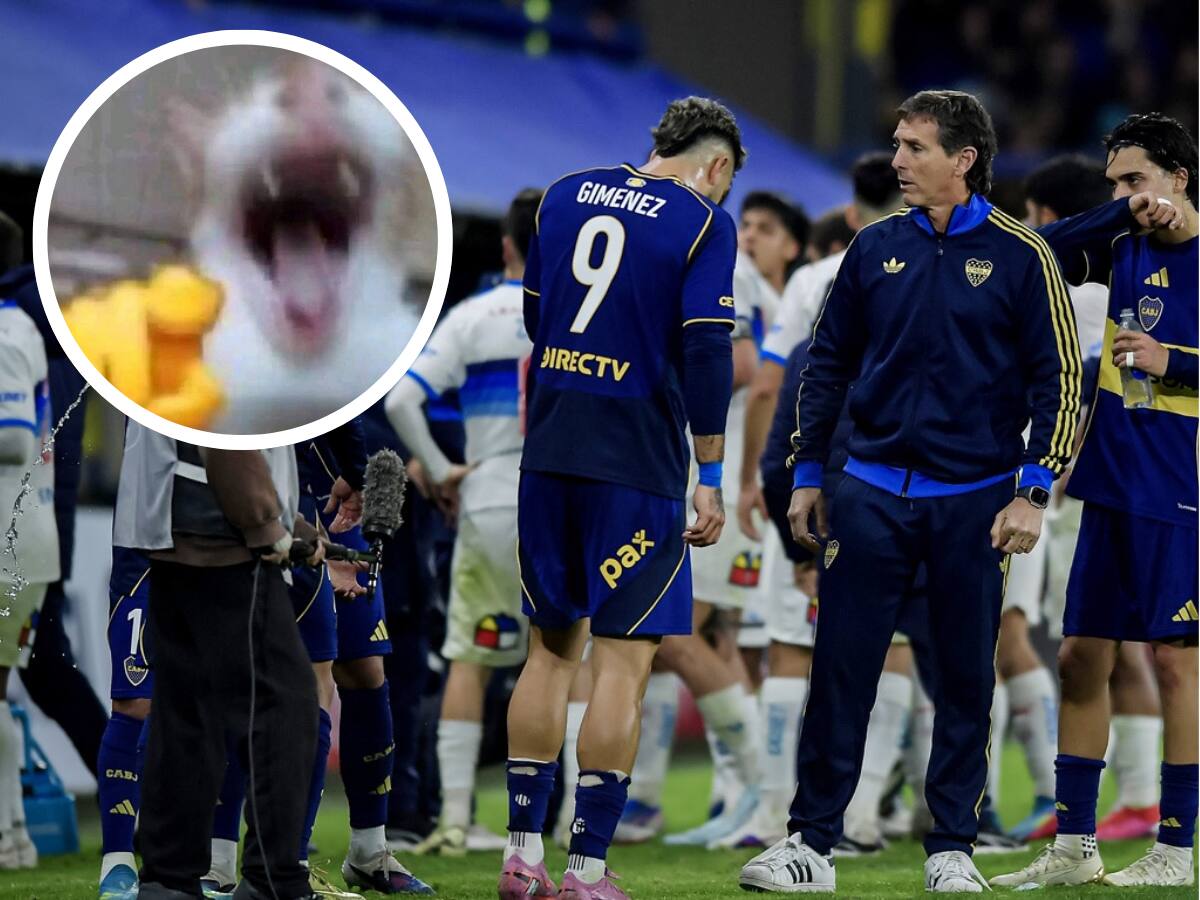 Las redes sociales arden: los mejores memes que dejó la clasificación de Católica en Libertadores y la eliminación de Boca