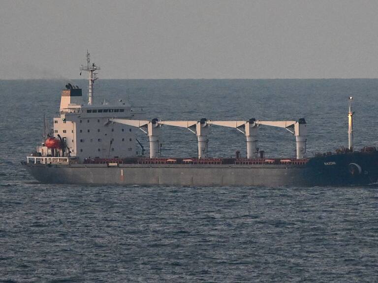El barco Razoni arriba con 26.000 toneladas de maíz de Ucrania hasta Turquía