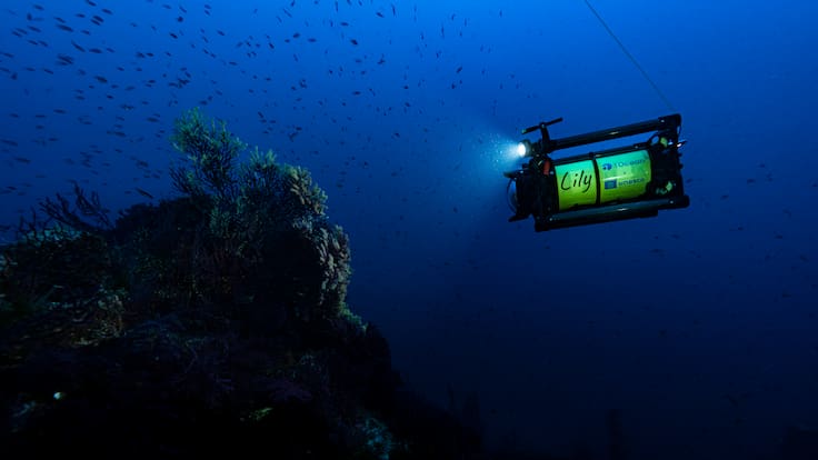 Bajaron al punto más profundo de Chile y lo que encontraron podría cambiar lo que sabemos de los terremotos