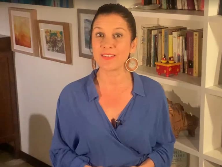 Columna de Mirna Schindler: La medida de la Dirección del Trabajo viene a agitar el avispero