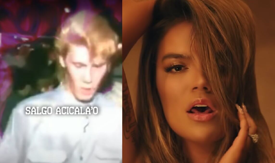 Captura "Bichoto" y "Bichota" | YouTube