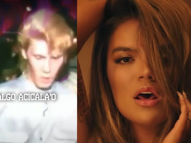 Captura "Bichoto" y "Bichota" | YouTube