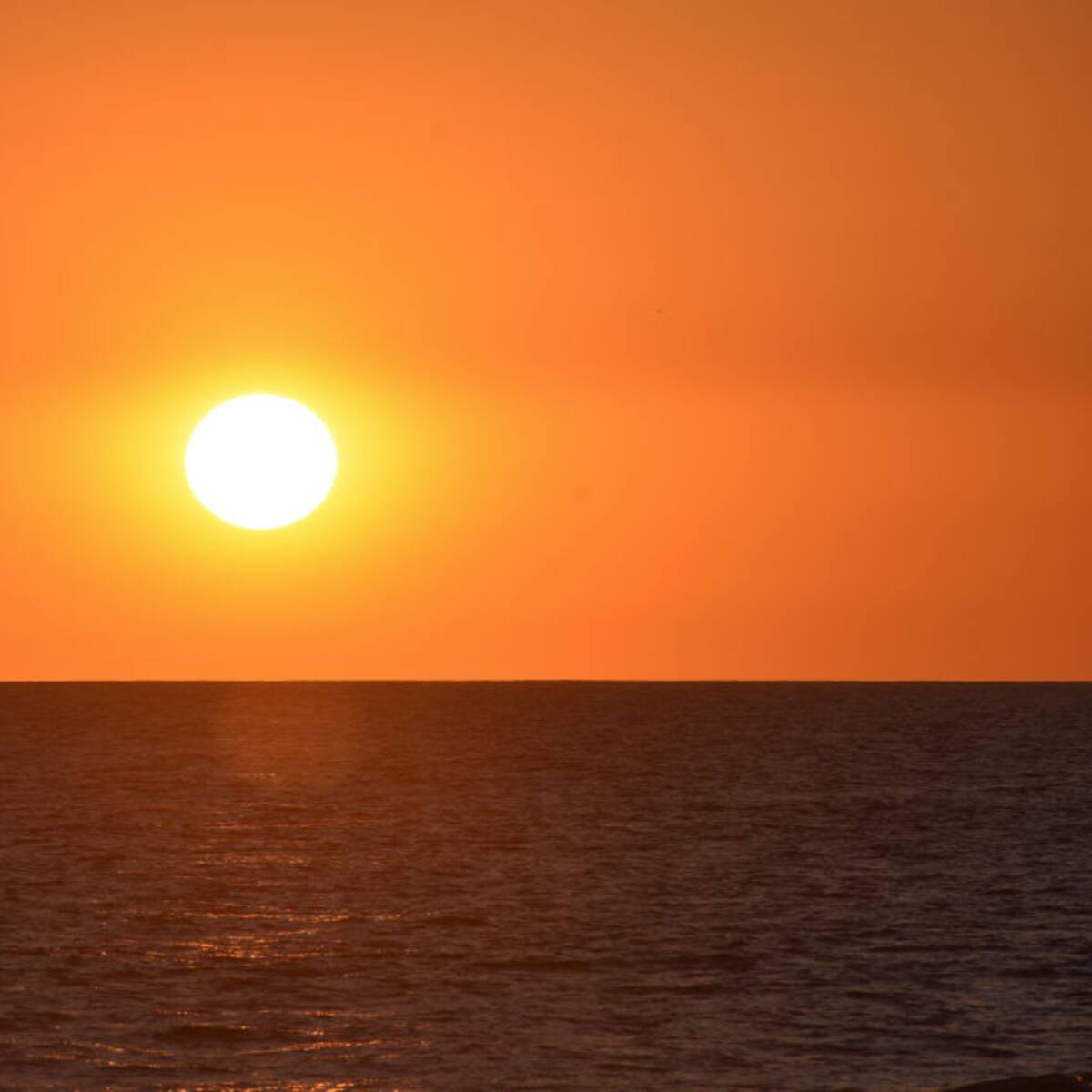 Océanos alcanzan récord histórico de calor en junio y encienden alarmas mundiales