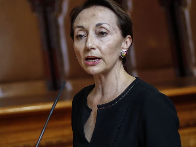 Chevesich dijo que Silvana Donoso actuó conforme a la ley