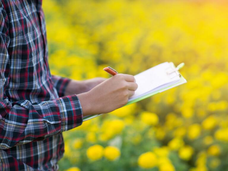 ¿Por qué hay mayoría de personas diestras y no zurdas en el mundo?