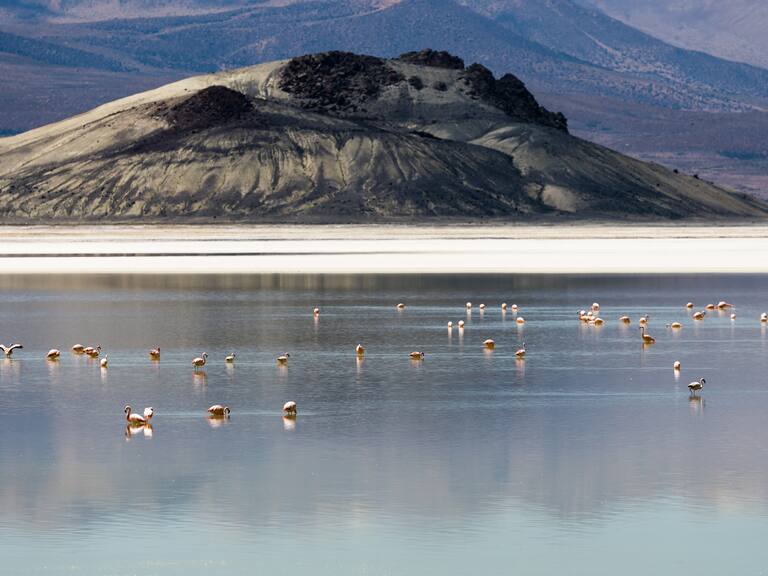 Investigación de Ciper revela la fórmula de minera Quiborax para saltarse las reglas en el Salar de Surire
