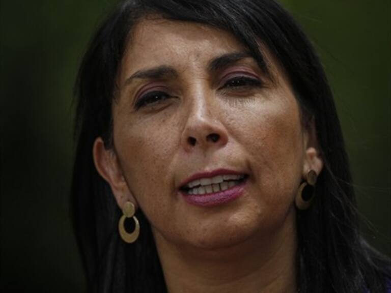 Rubilar: «Tenemos algunas imágenes y videos que son de países como Bolivia y de Colombia»