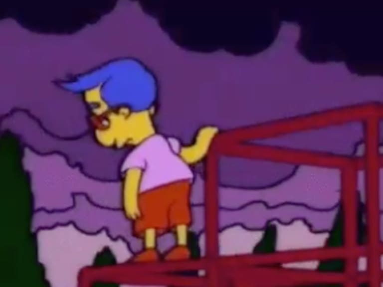 Elecciones primarias presidenciales memes