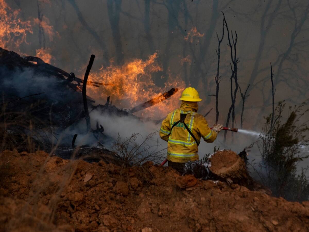 Gobierno cifra en 24 las personas fallecidas por incendios forestales