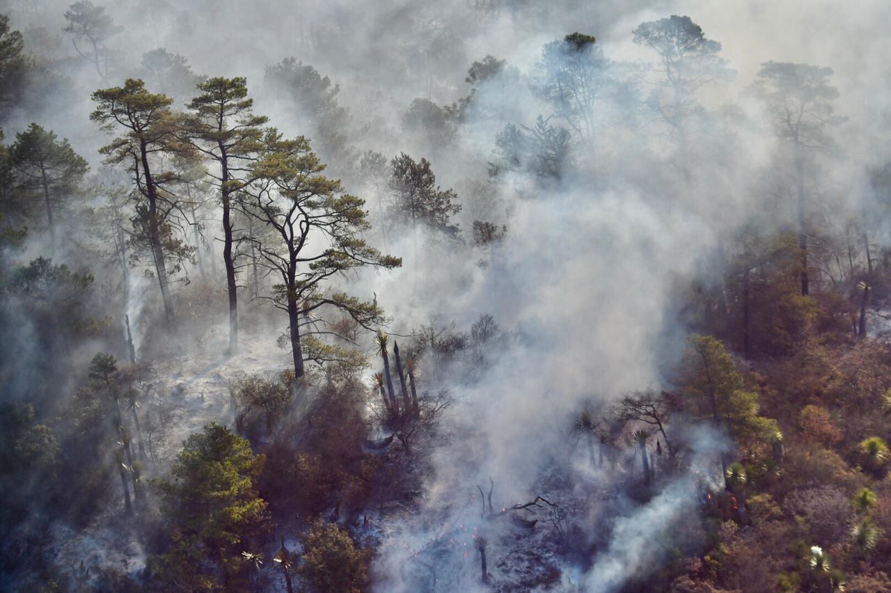 El incendio forestal que afecta el norte de México
