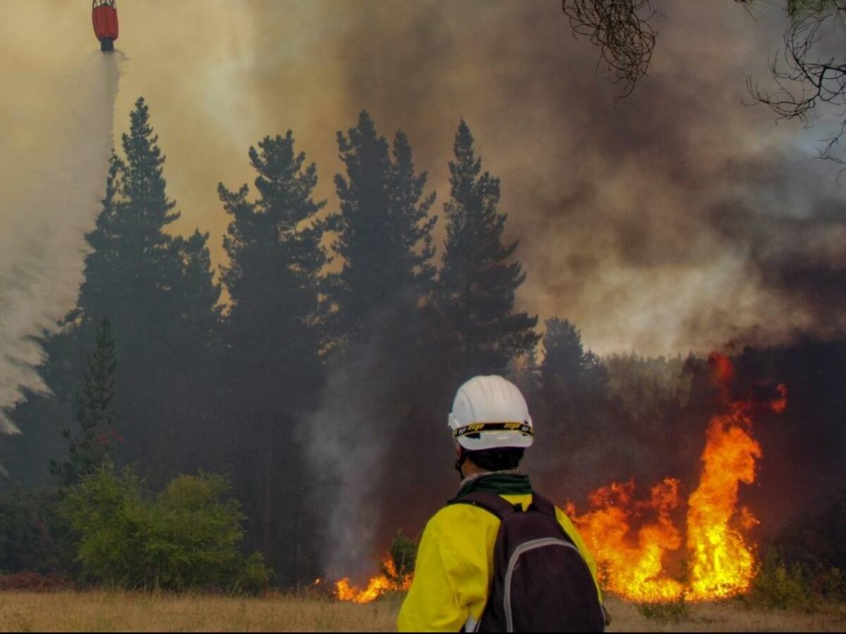 Delegado de La Araucanía afirma que en 12 denuncias por intencionalidad de incendios «podría incidir la violencia rural»