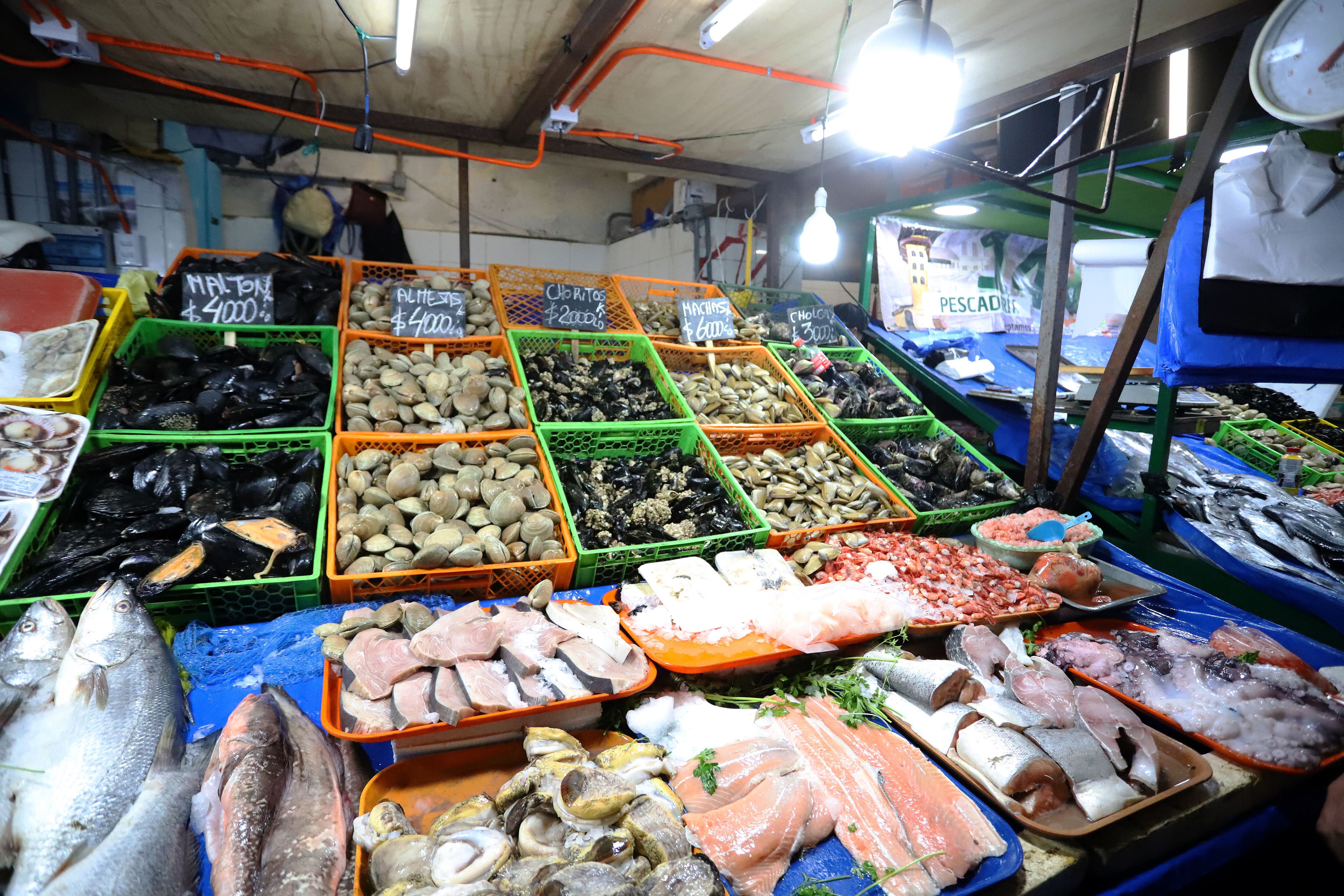29 DE MARZO DE 2024/VALPARAISOPersonas generan gran caos vial al tratar de acercarse a Caleta Portales para comprar pescados y mariscos para este fin de semana santoFOTO: MANUEL LEMA OLGUIN/AGENCIAUNO