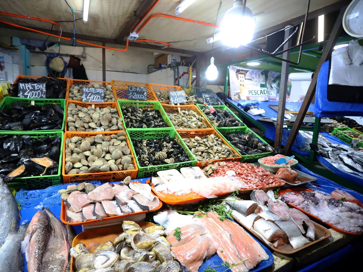 Chile y su bajo consumo de choritos y productos marinos: Doctor Chef nos habla sobre el caso de Tailandia y Perú