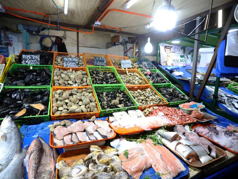 29 DE MARZO DE 2024/VALPARAISO
Personas generan gran caos vial al tratar de acercarse a Caleta Portales para comprar pescados y mariscos para este fin de semana santo
FOTO: MANUEL LEMA OLGUIN/AGENCIAUNO