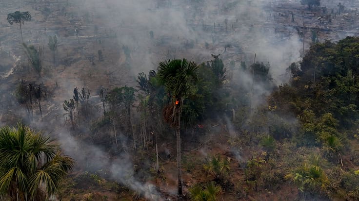 Gobierno de Brasil quiere elevar las sanciones para los delitos contra el medio ambiente