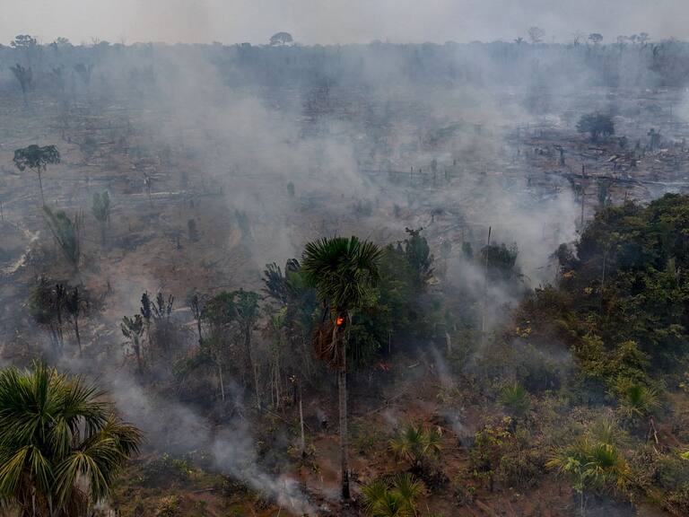 Una quema ilegal provoca un incendio forestal en el Amazonas en Brasil