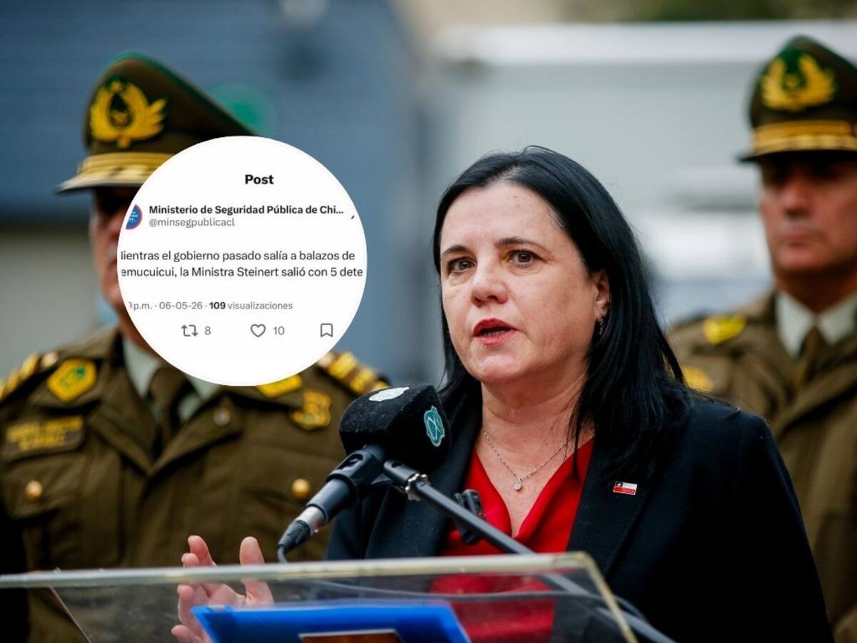 Ministra Steinert reconoce error por polémico posteo en X: “Estamos viendo qué pasó”
