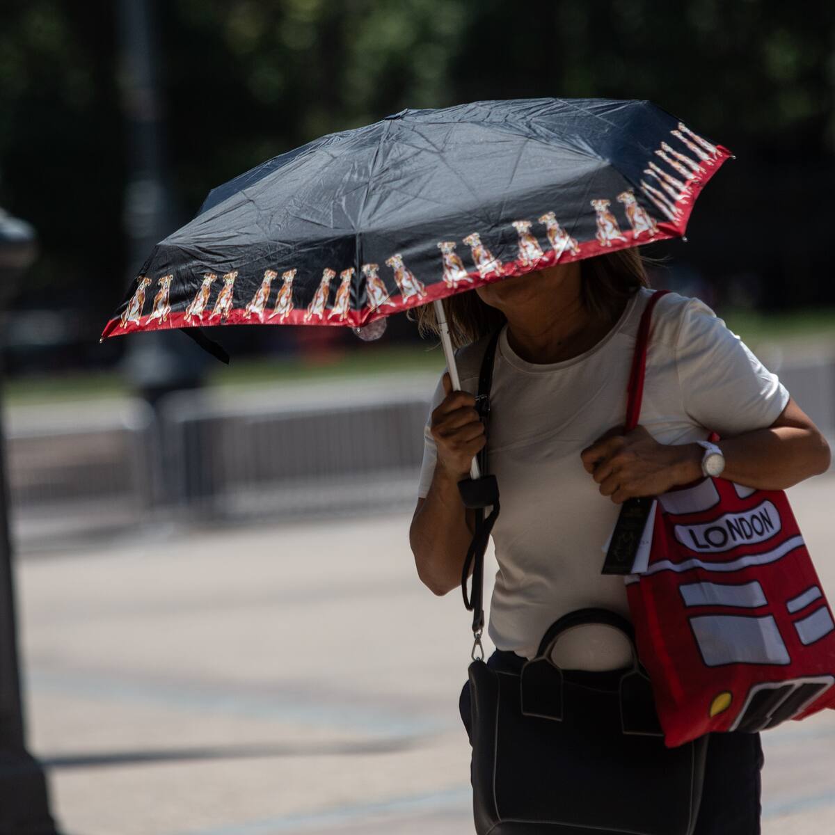 Pronóstico del tiempo para este 31 de enero en Chile: zona centro-sur registrará calor extremo durante la jornada