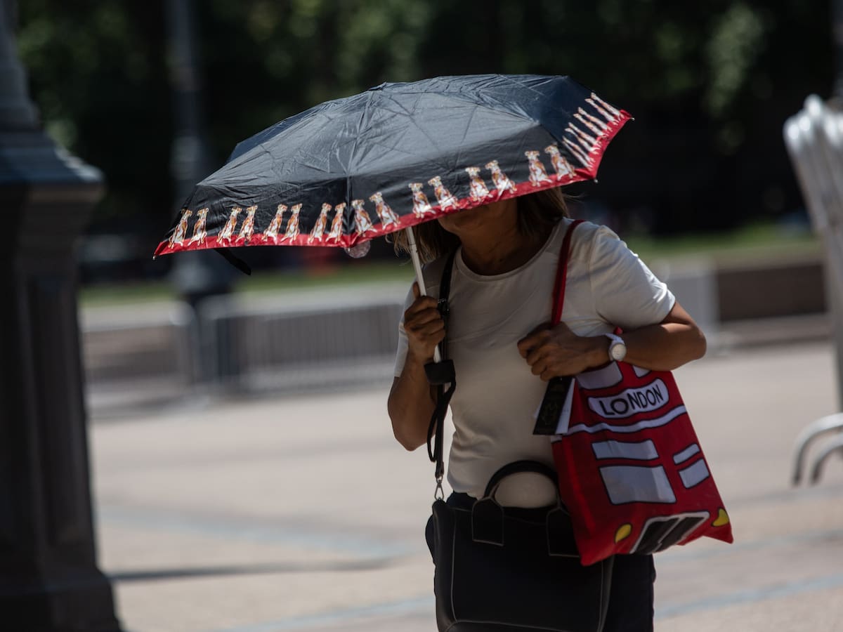 Pronóstico del tiempo para este 31 de enero en Chile: zona centro-sur registrará calor extremo durante la jornada