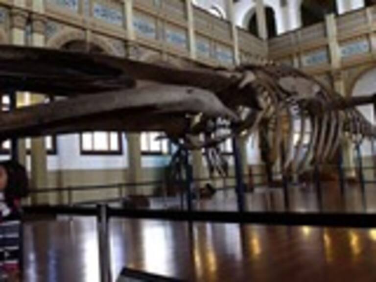 Este mes podrás visitar los «Museos en medianoche» de forma gratuita