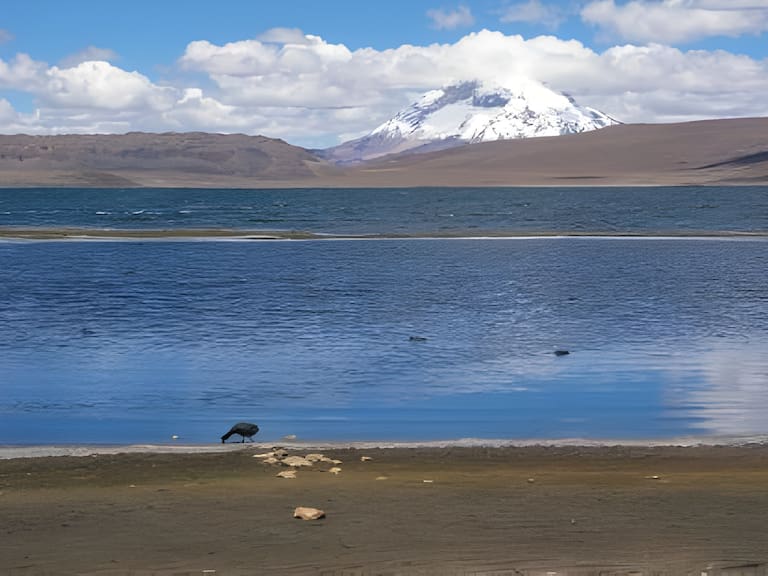 Expertos advierten que recuperación del Lago Chungará podría tardar más de 50 años