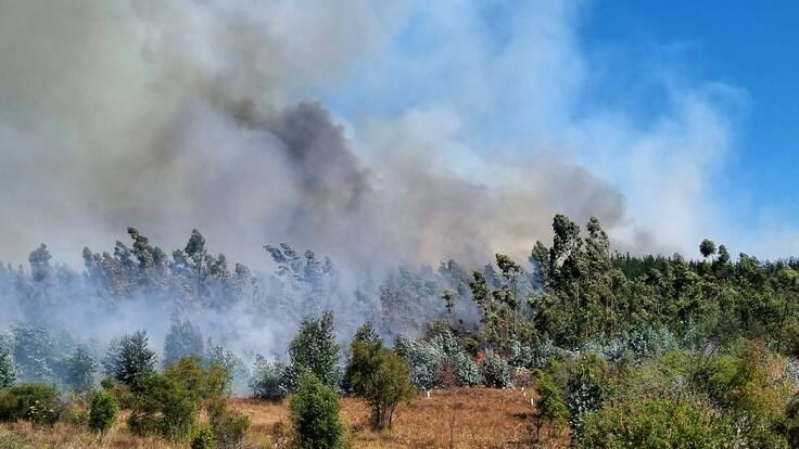 Servicio Médico Legal actualiza en 122 las personas fallecidas en incendios forestales de la Región de Valparaíso