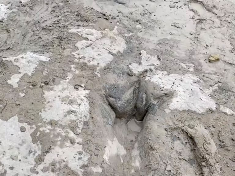Las huellas halladas en el Parque Nacional del Valle de Dinosaurios en Texas