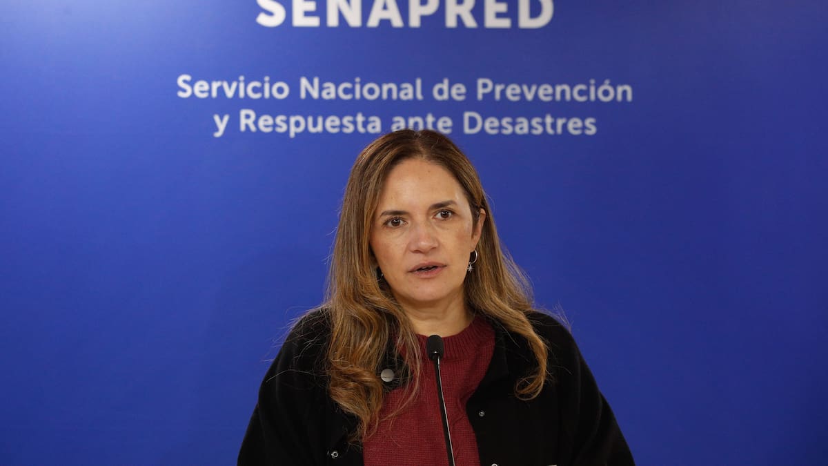 Directora Senapred responde a críticas de alcaldes tras histórica lluvia en la RM: “Estaba todo anticipado y comunicado”