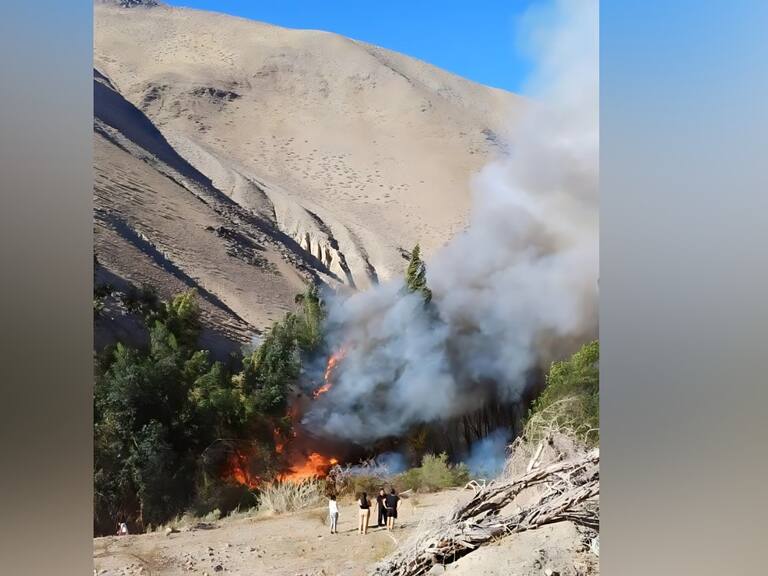 Senapred declara Alerta Roja en Alto del Carmen por incendio forestal: está cercano a sectores poblados
