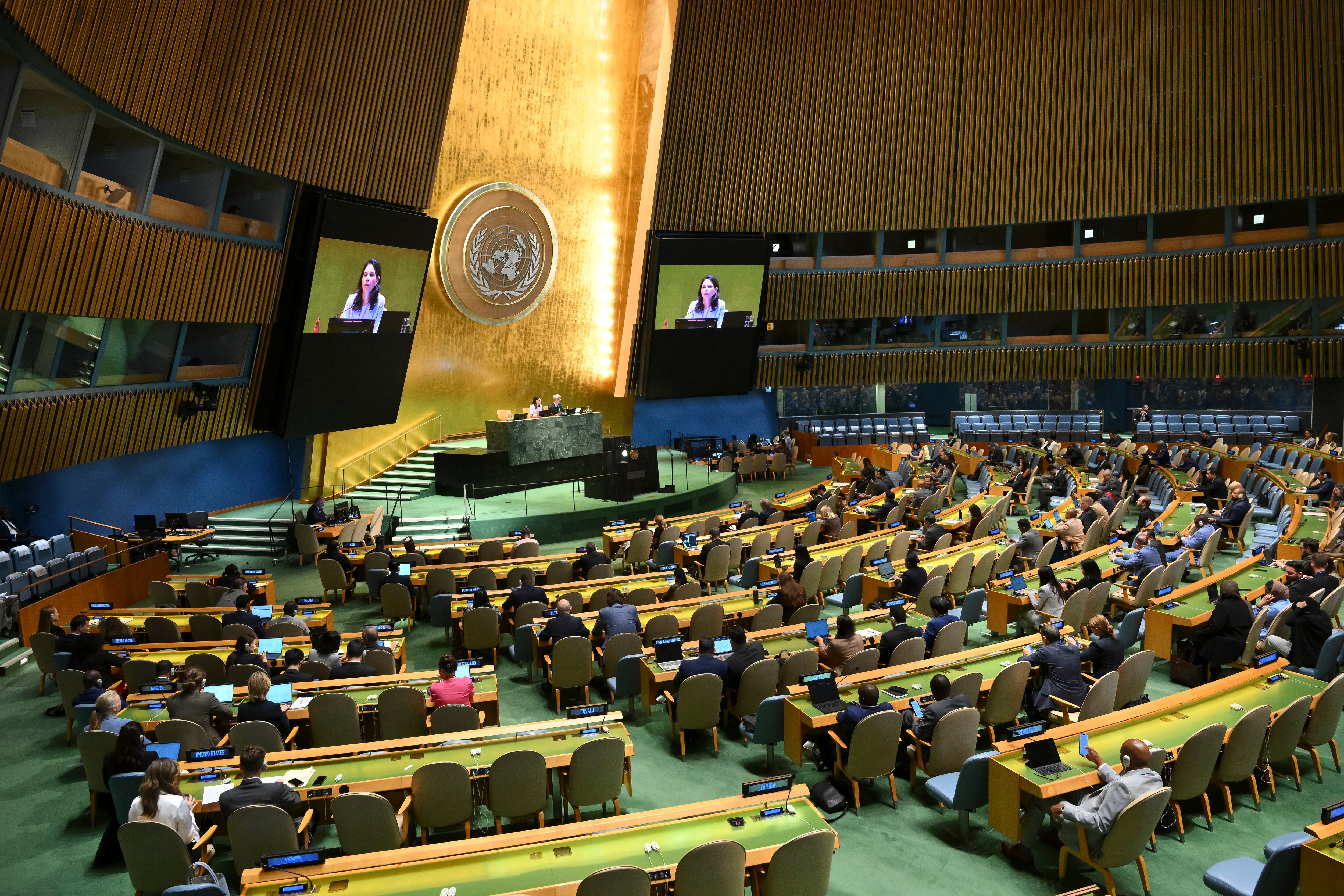 Asamblea ONU