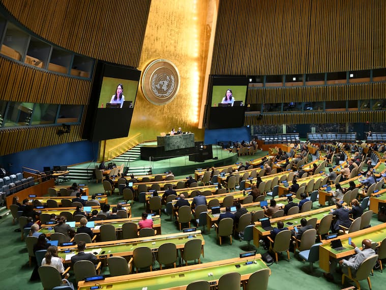 Asamblea ONU