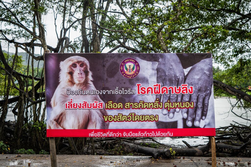 Un cartel de aviso en Surat Thani de Tailandia sobre los riesgos de la viruela del mono para las personas.