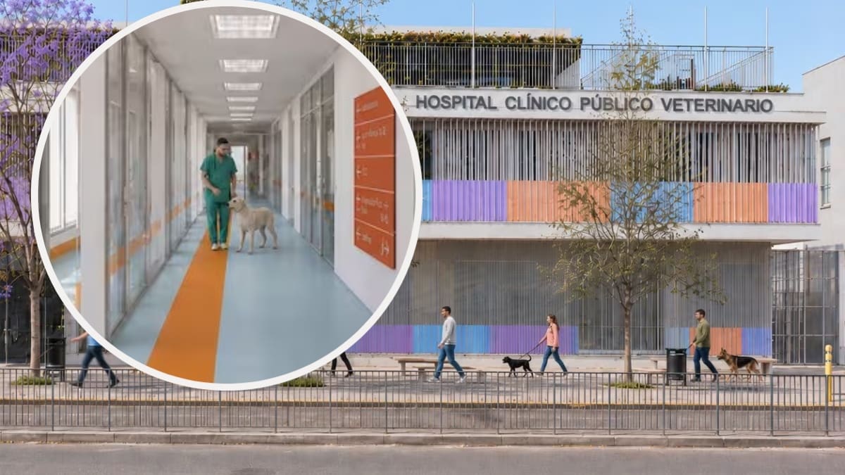 Con 4 quirófanos, UCI y 3 pisos: así será el primer Hospital Público Veterinario de la RM y su fecha de apertura
