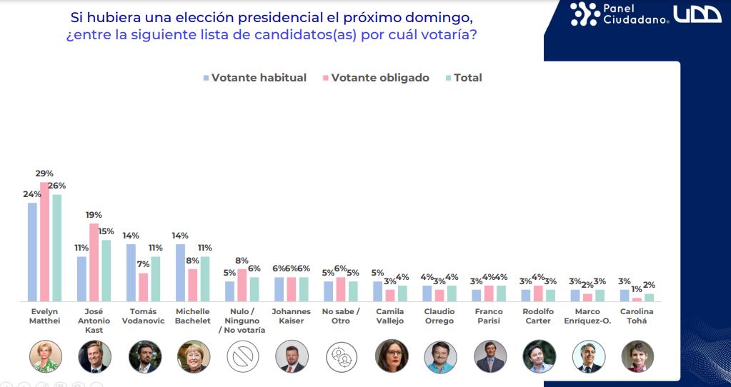 Imagen: Panel Ciudadano.