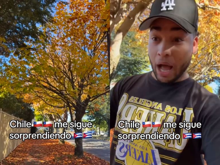 “El que no admire esto está loco”: extranjero alucina con detalle de Chile que muchos ignoran