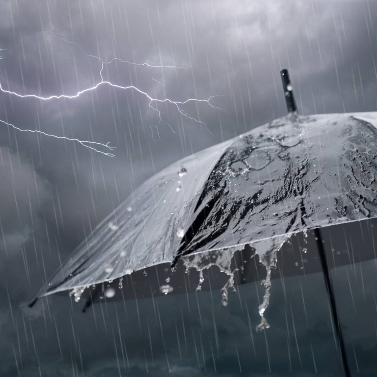 Anuncian lluvia para este miércoles 24 de junio en Chile: estas son las regiones que recibirán hasta 20 mm, según el tiempo