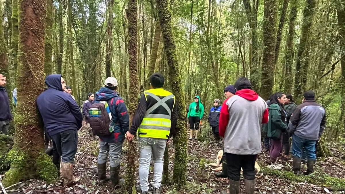 Llegó caminando y acompañada por su mascota: encuentran con vida a mujer que estuvo desaparecida en Quellón