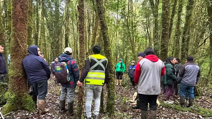 Llegó caminando y acompañada por su mascota: encuentran con vida a mujer que estuvo desaparecida en Quellón