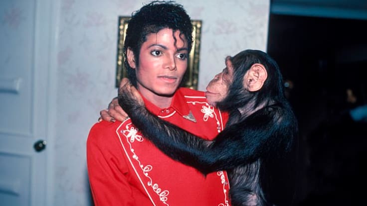 ¿Qué fue de Bubbles? El paradero actual del chimpancé de Michael Jackson tras su aparición digital en el cine