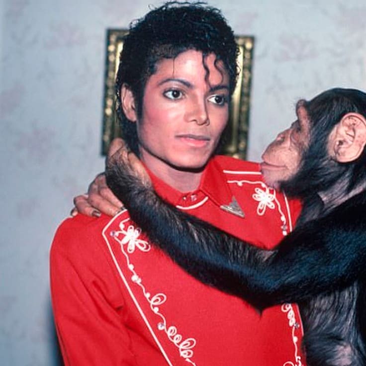 ¿Qué fue de Bubbles? El paradero actual del chimpancé de Michael Jackson tras su aparición digital en el cine