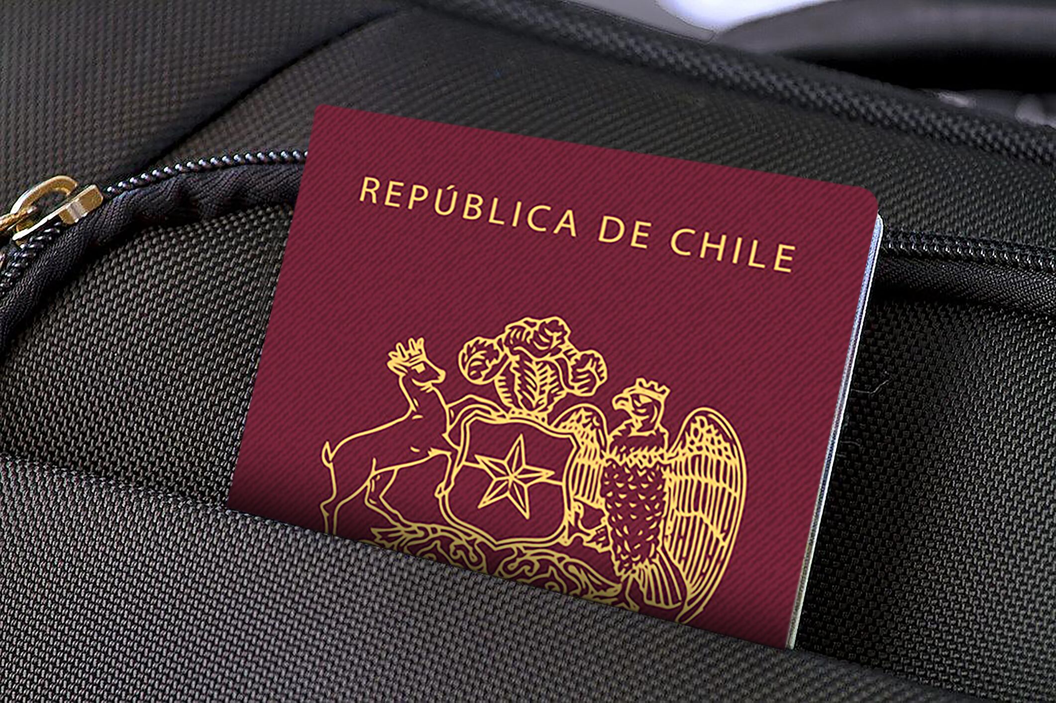 Pasaporte chileno